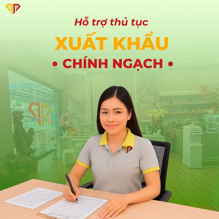Hỗ Trợ Thủ Tục Xuất Nhập khẩu